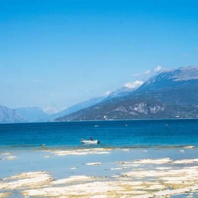 合乐888手机app下载