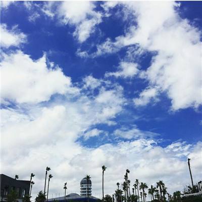 半岛官方网站下载