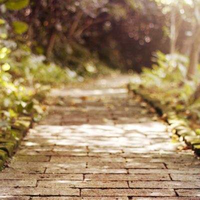 南宫28ng娱乐手机app下载